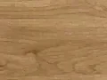 Winchester Budaklı